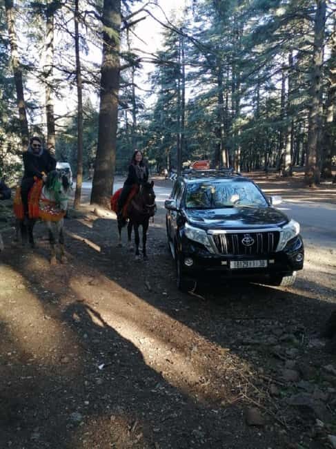Day Trip to Atlas Mountains Cedars Forest azrou ifrane caves - Authentic Encounters and Guide Insights