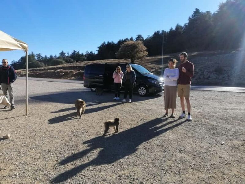 Day Trip to Atlas Mountains Cedars Forest azrou ifrane caves - Who Should Consider This Tour?