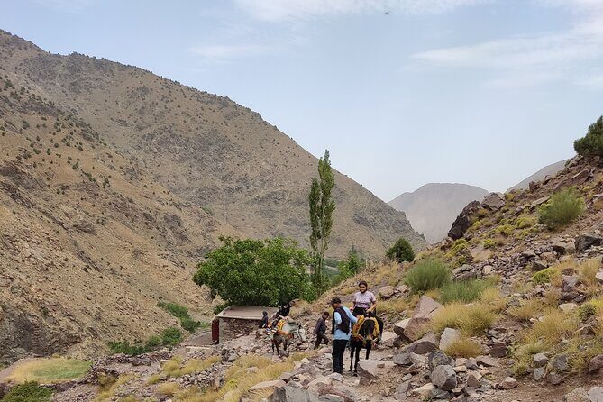 day trip to atlas mountains ourika valley & waterfall - Introduction: A Scenic Escape from Marrakech