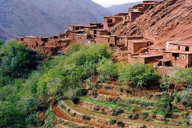 day trip to atlas mountains ourika valley & waterfall - The Value of This Tour