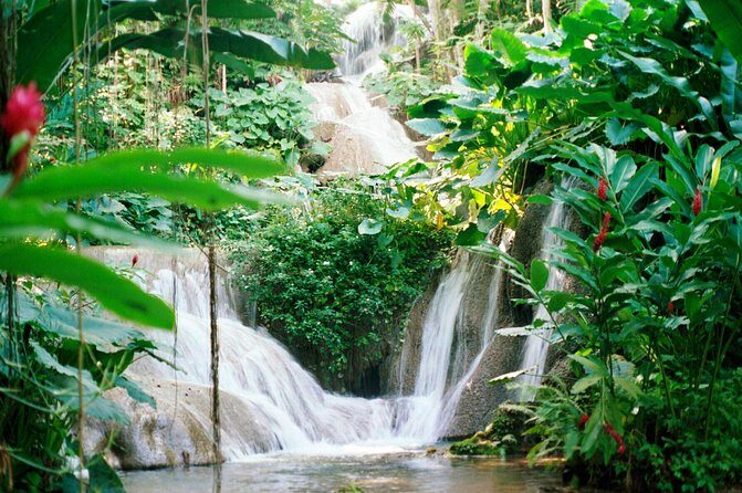 Day Trip to Bob Marley's Nine Mile and Dunn's River Falls from Falmouth - Lunch at Scotchies and Other Details