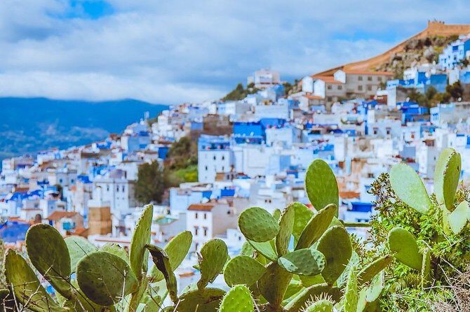 Day Trip to Chefchaouen and Tetouan - Review Highlights and Real Traveler Insights