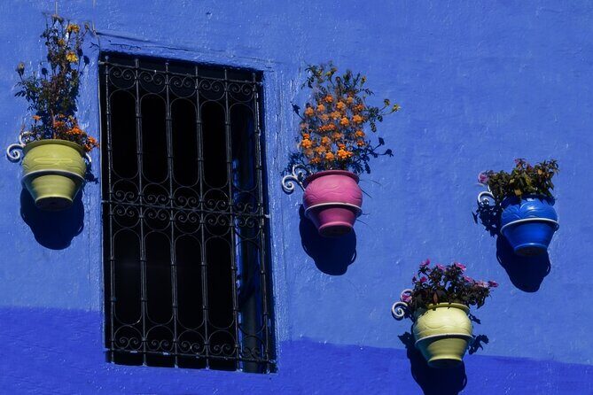 Day Trip to Chefchaouen From Fez with Local Expert - What Could Be Improved?