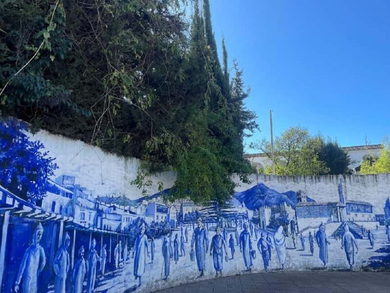 Day Trip to Chefchaouen from Tangier - The Itinerary: A Closer Look
