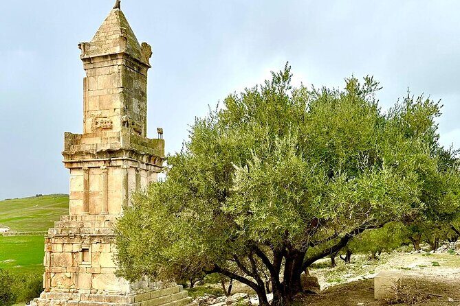 DAY TRIP TO Dougga & Bulla Regia , DEPARTURE FROM Tunis - Transportation, Comfort, and Practicalities