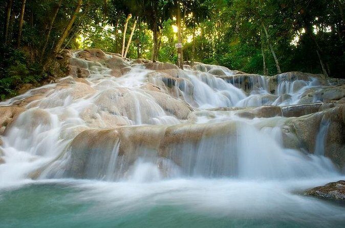 Day Trip to Dunn's River Falls from Montego Bay - Who This Tour Is Perfect For