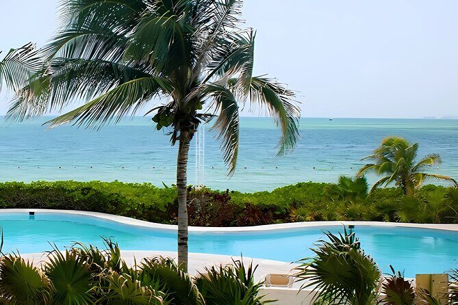 Day trip to El Corchito Ecological Reserve and Playa - The Quirky Charm of Pig Beach at Progreso