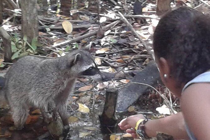 Day trip to El Corchito Ecological Reserve and Playa - Authentic Experiences and Unmissable Highlights