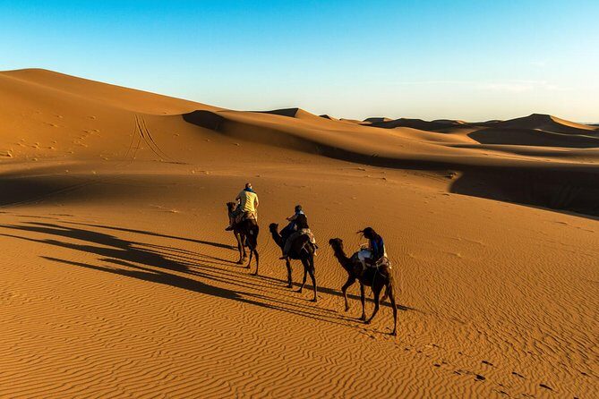 Day Trip to Erg Chigaga Dunes from Zagora - Introduction: An Authentic Sahara Day Trip