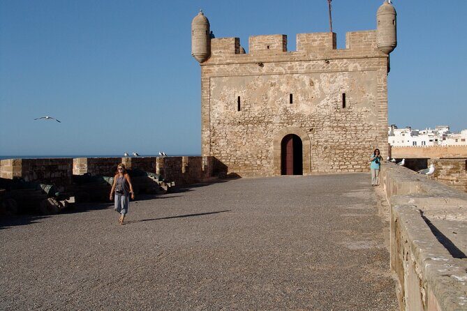 Day Trip To Essaouira - Who Will Love This Tour?