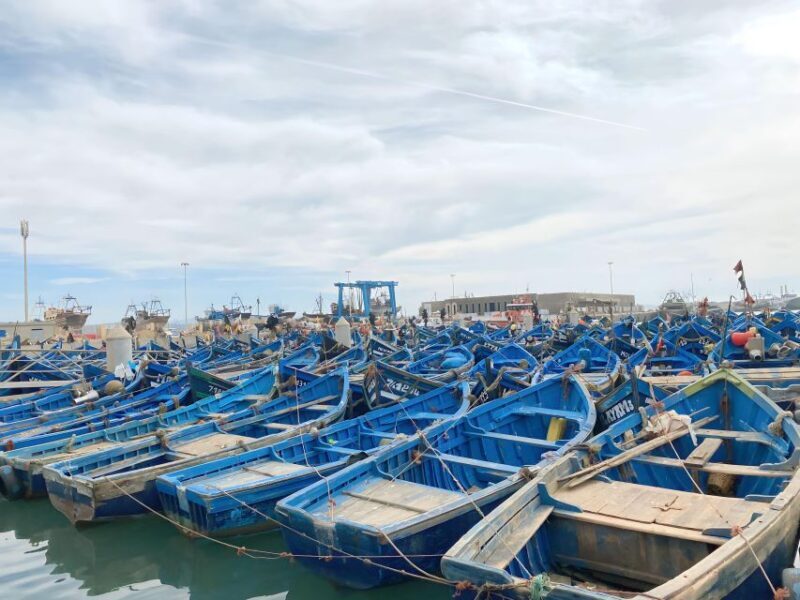 Day trip to Essaouira - Who Will Enjoy This Trip?