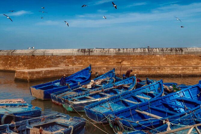 Day Trip to Essaouira - Key Points