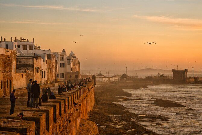 Day Trip to Essaouira From Marrakech - Who Is This Tour Best Suited For?
