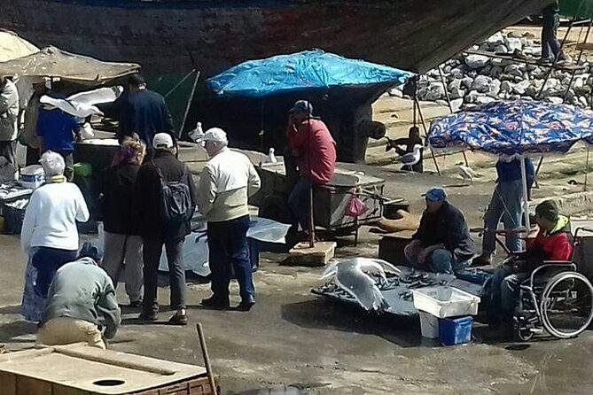 Day Trip to Essaouira From Marrakech - Who This Tour Is Perfect For