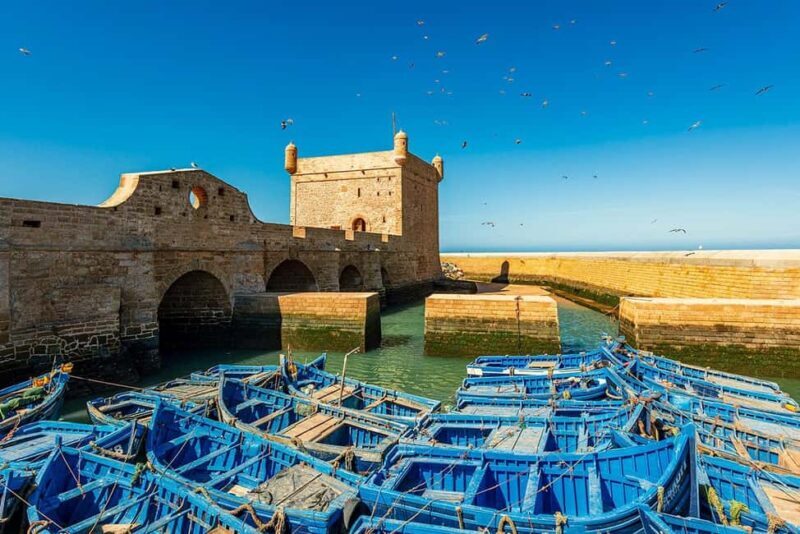 Day Trip To Essaouira From Marrakech With Guide - What makes this tour stand out?