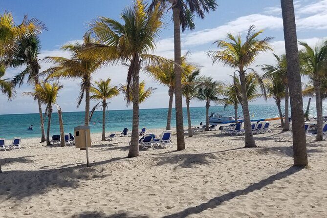 Day Trip To Freeport, Grand Bahama - Tickets only - What to Expect from This Day Trip to Freeport