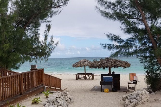 Day Trip To Freeport, Grand Bahama - Tickets only - Analyzing the Value