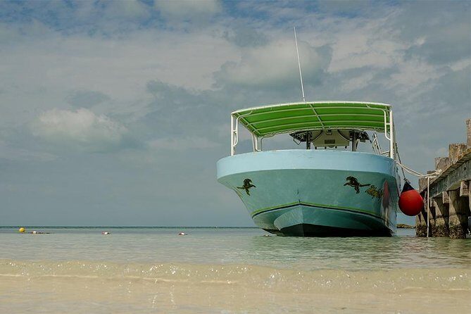Day Trip to Isla Contoy - The Itinerary: What to Expect