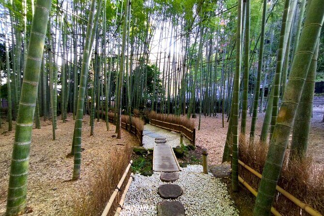 Day Trip to Kamakura & Enoshima: Shrines, Seaside, Temples & Tea - A Full Breakdown of the Kamakura & Enoshima Day Trip
