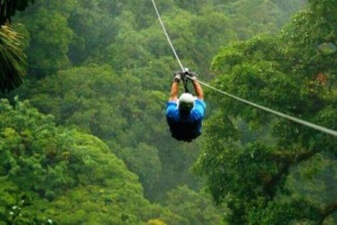 Day Trip to Kereita Forest and Ziplining - Setting Off for Kereita Forest: What to Expect