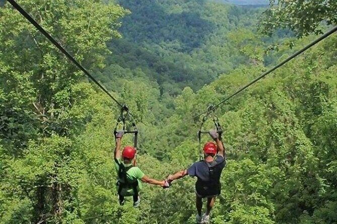 Day Trip to Kereita Forest and Ziplining - The Price and Value Equation