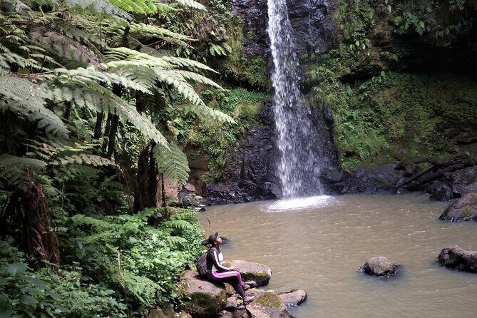 Day Trip to Kereita Forest and Ziplining - Final Thoughts