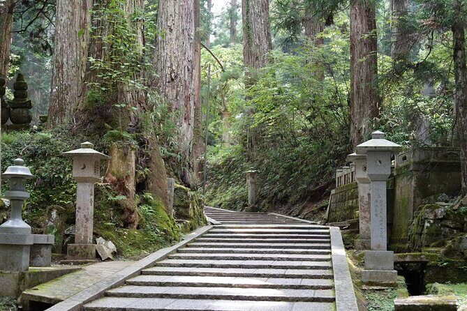 Day Trip to Kyasan A World Heritage Site from Osaka - Who Will Love This Tour?