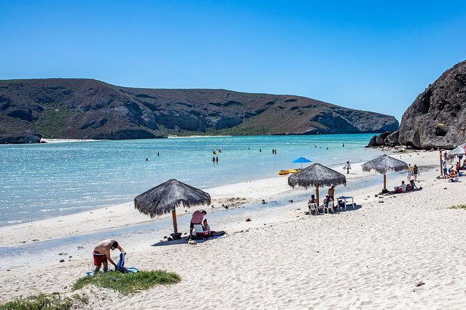 Day Trip to La Paz & Balandra Beach from Cabo San Lucas - Transportation & Group Dynamics