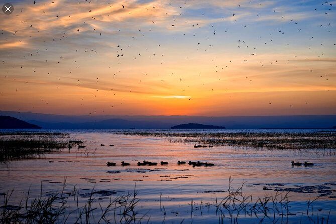Day Trip To Lake Ziway - FAQs
