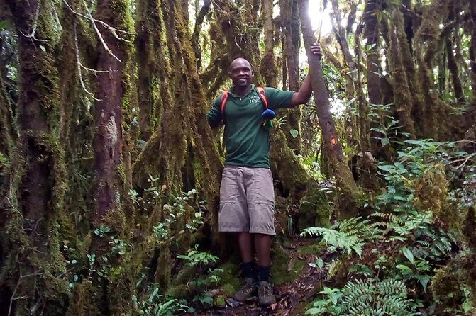 Day Trip To Lupanga Peak - Key Points