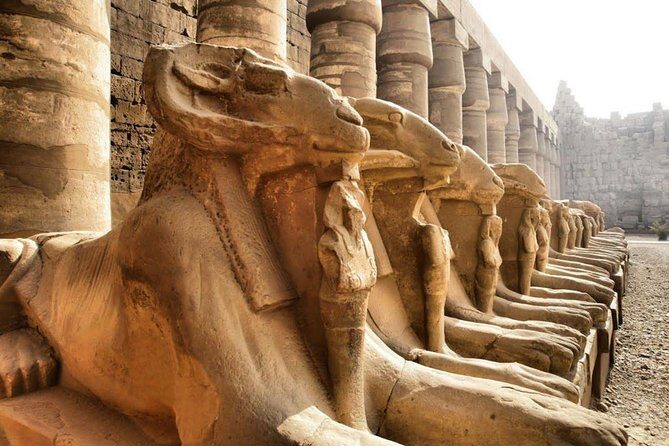 Day Trip To Luxor From Cairo By Plane - The Value of This Tour: Is It Worth It?