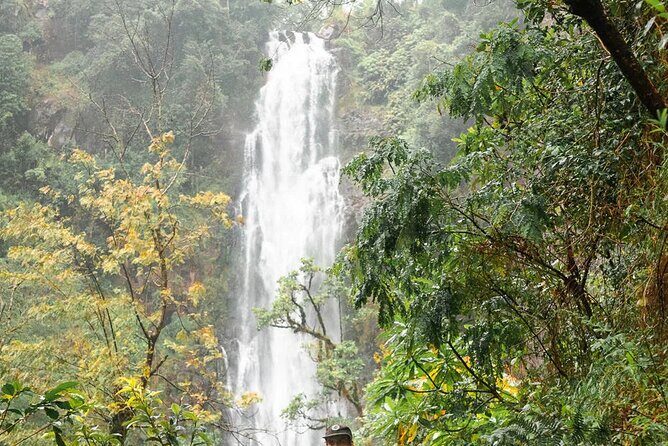 Day trip to Materuni waterfall, Coffee tour and Moshi Nightlife - The Sum Up: Who Is This Tour Best For?
