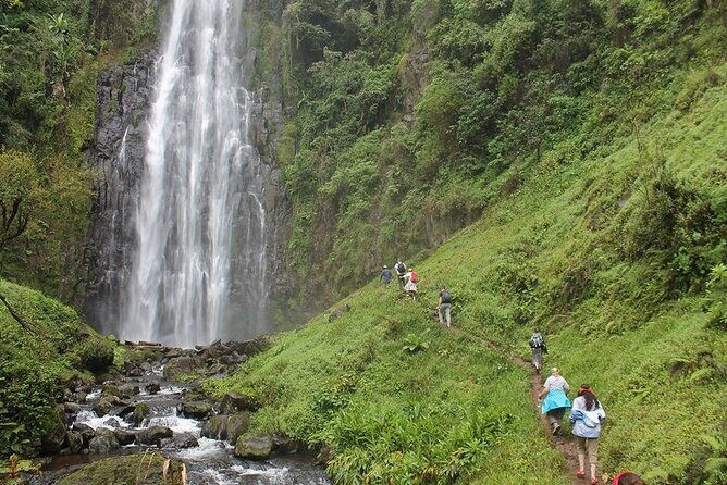 Day Trip To Materuni Waterfalls - The Itinerary in Detail: What to Expect
