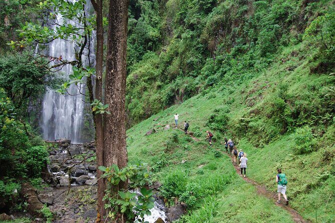 Day Trip To Materuni Waterfalls - Why This Tour Offers Great Value