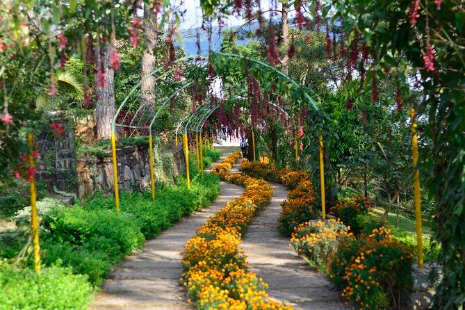 Day Trip to Mawlynnong (Guided Private Sightseeing Experience from Shillong) - An In-Depth Look at the Mawlynnong Day Trip