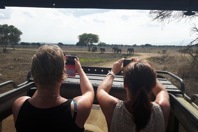 Day trip to Mikumi National Park from Dar es salaam - Key Points