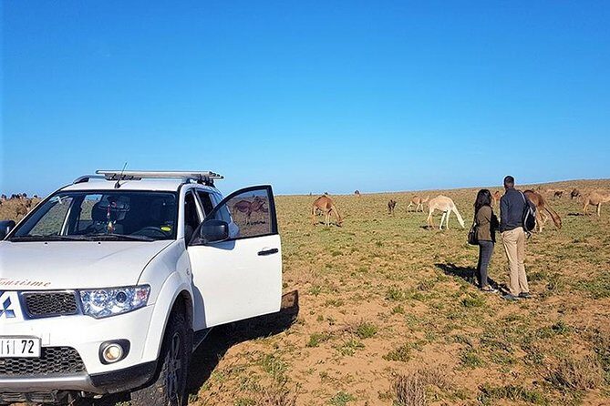 Day Trip to Mini Sahara - Exploring the Itinerary