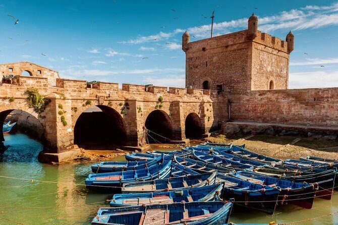 Day Trip to Mogador Essaouira City - The Sum Up: Who Will Love This Experience?
