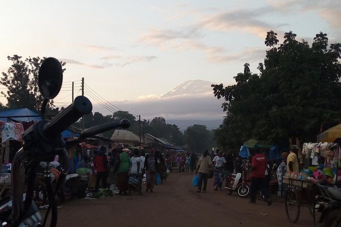 Day trip to mount Kilimanjaro - A Closer Look at the Kilimanjaro Day Trip