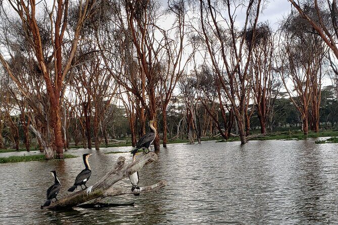 Day Trip to Mt. Longonot with Boat Ride in Lake Naivasha - An In-Depth Look at the Tour