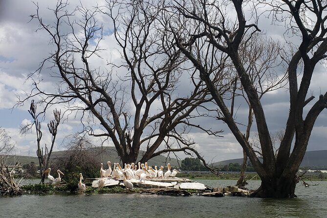 Day Trip to Mt. Longonot with Boat Ride in Lake Naivasha - FAQ