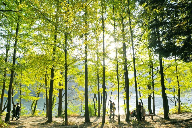 Day Trip to Nami Island with Rail bike and The Garden of Morning Calm - Final Words