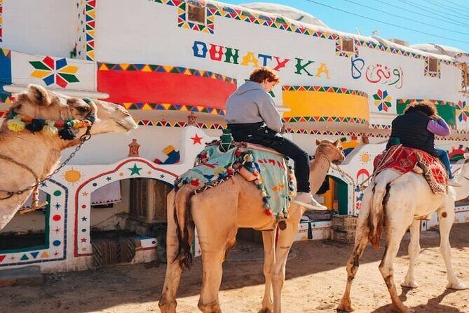 Day Trip to Nubian Village with Camel Tour from Aswan - An In-Depth Look at the Nubian Village Tour