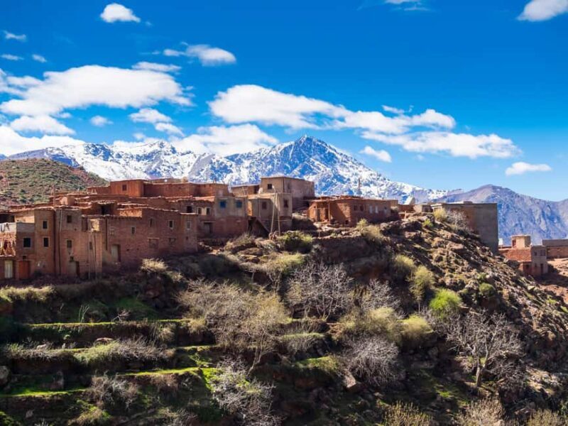 Day Trip to Ourika Valley & Atlas Mountains with Lunch - A Closer Look at the Tour Experience