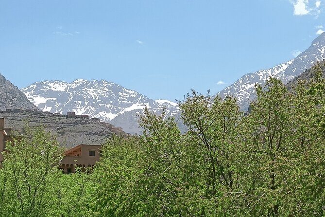 Day trip to Ourika Valley from Marrakech - Practical Insights: What Does This Tour Mean for You?