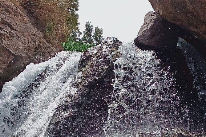 Day trip to Ourika Valley from Marrakech - Who Will Love This Tour?