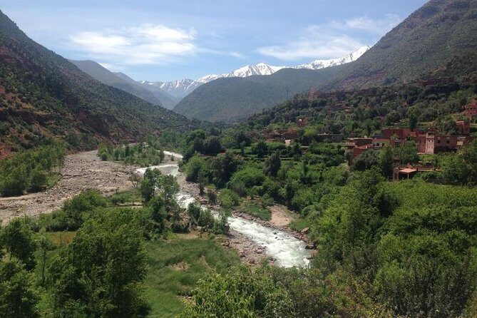 Day Trip To Ourika Valley from Marrakech - Final Thoughts: Is This Tour Right for You?