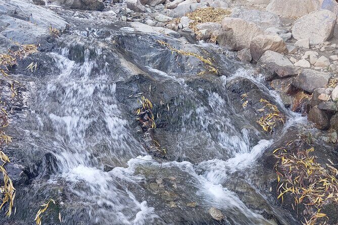 Day Trip to Ourika Valley from Marrakech - A Closer Look at the Itinerary