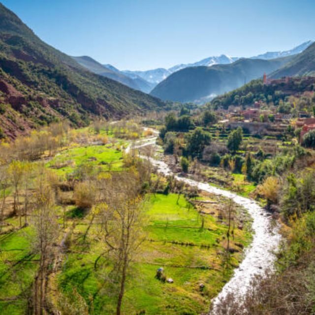 Day trip to ourika valley from marrakech with a group - What You Can Expect from the Trip