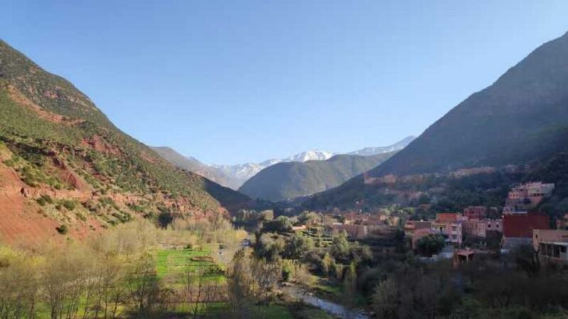Day trip to ourika valley from marrakech with a group - Summary: Who This Tour Is Best For